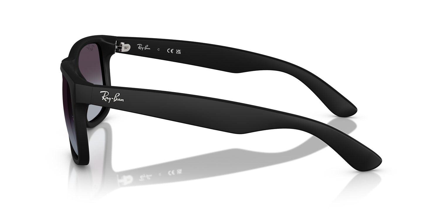 Ray-Ban | 0RB4165