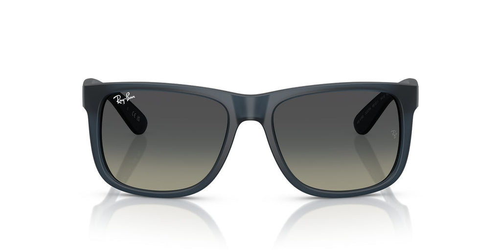 Ray-Ban | 0RB4165