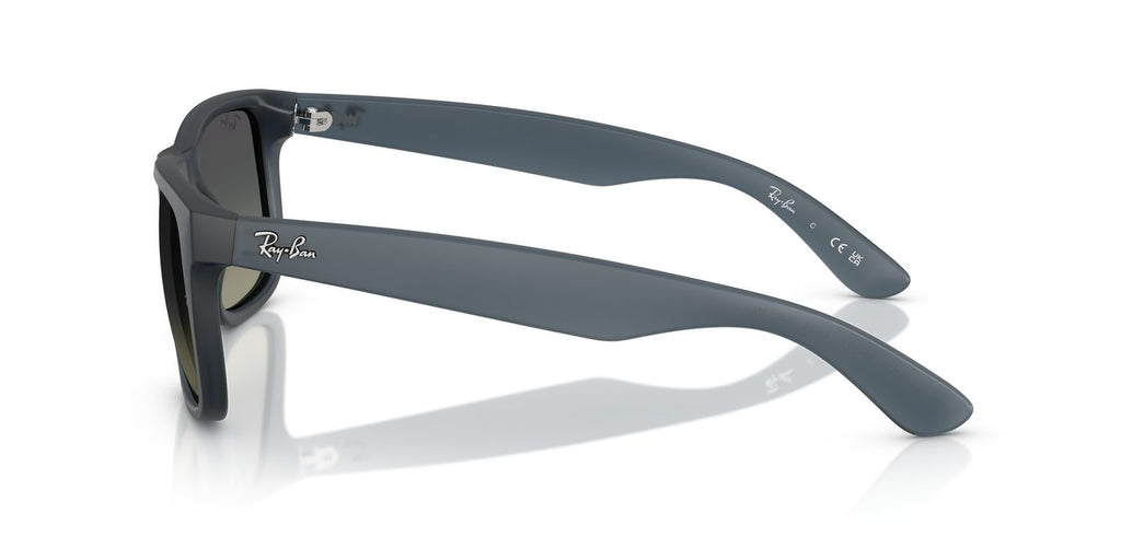 Ray-Ban | 0RB4165