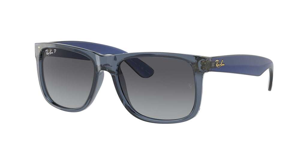Ray-Ban | 0RB4165