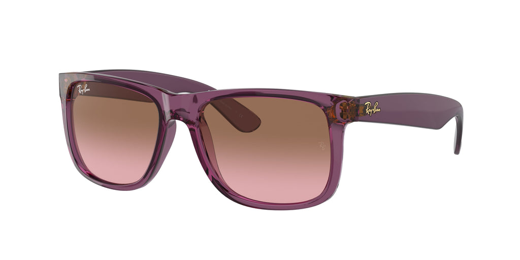 Ray-Ban | 0RB4165