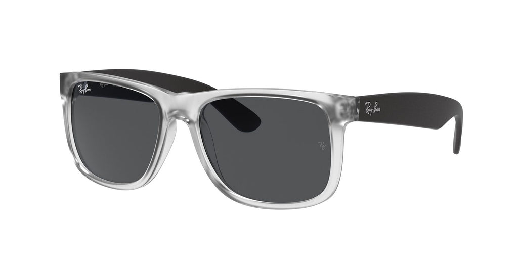 Ray-Ban | 0RB4165