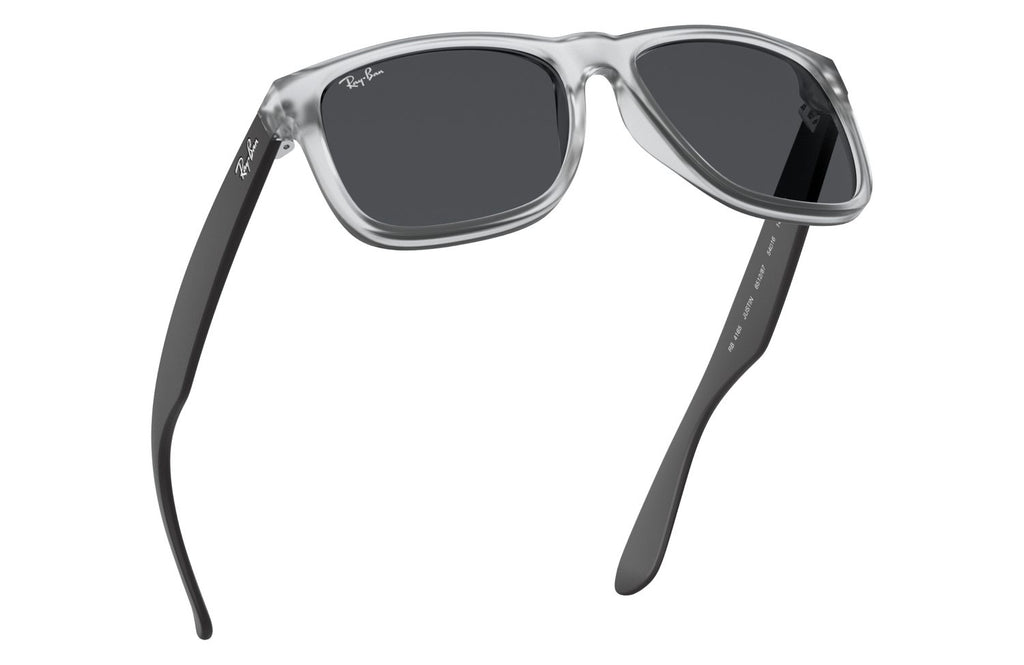 Ray-Ban | 0RB4165