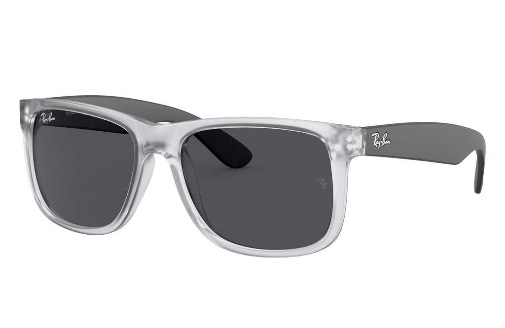 Ray-Ban | 0RB4165