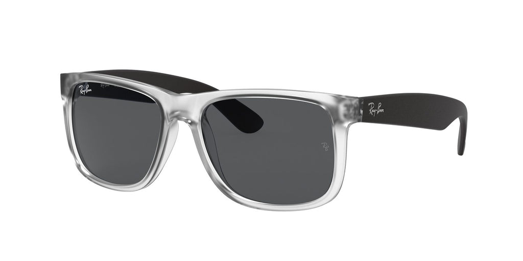 Ray-Ban | 0RB4165
