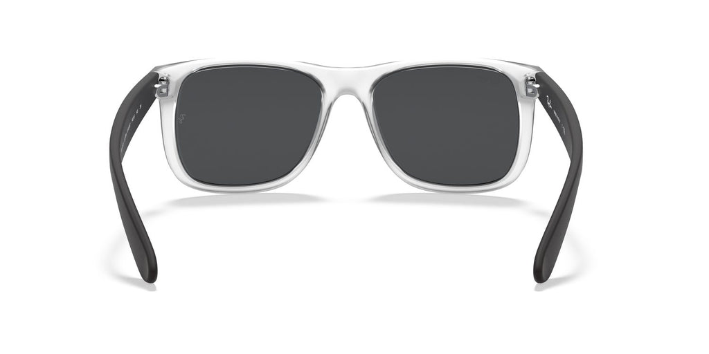 Ray-Ban | 0RB4165
