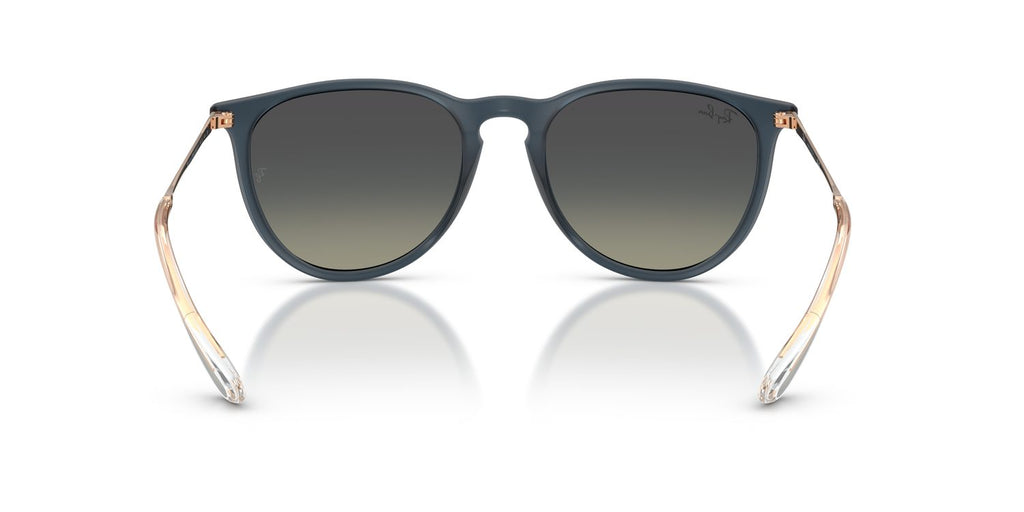 Ray-Ban | 0RB4171