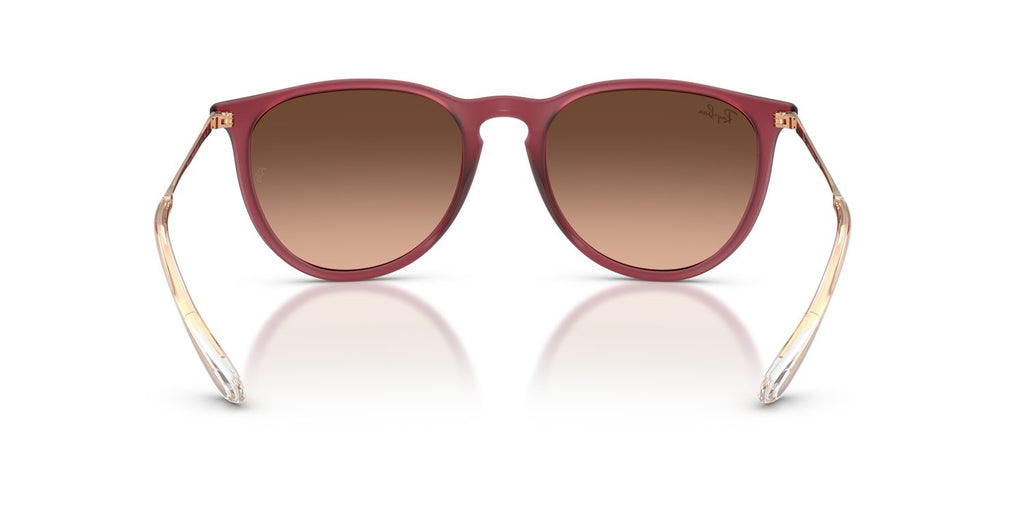 Ray-Ban | 0RB4171
