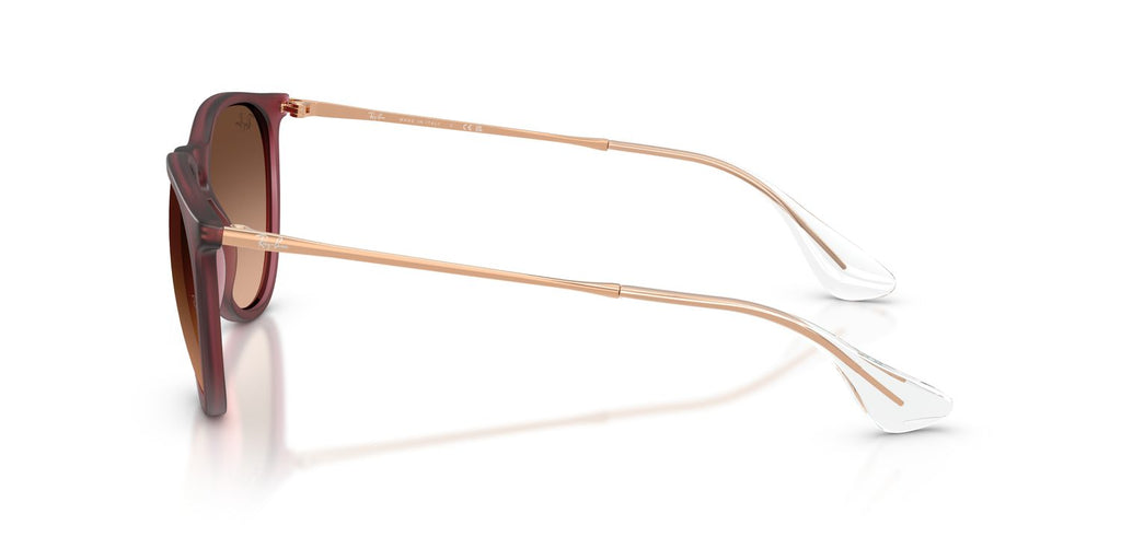 Ray-Ban | 0RB4171