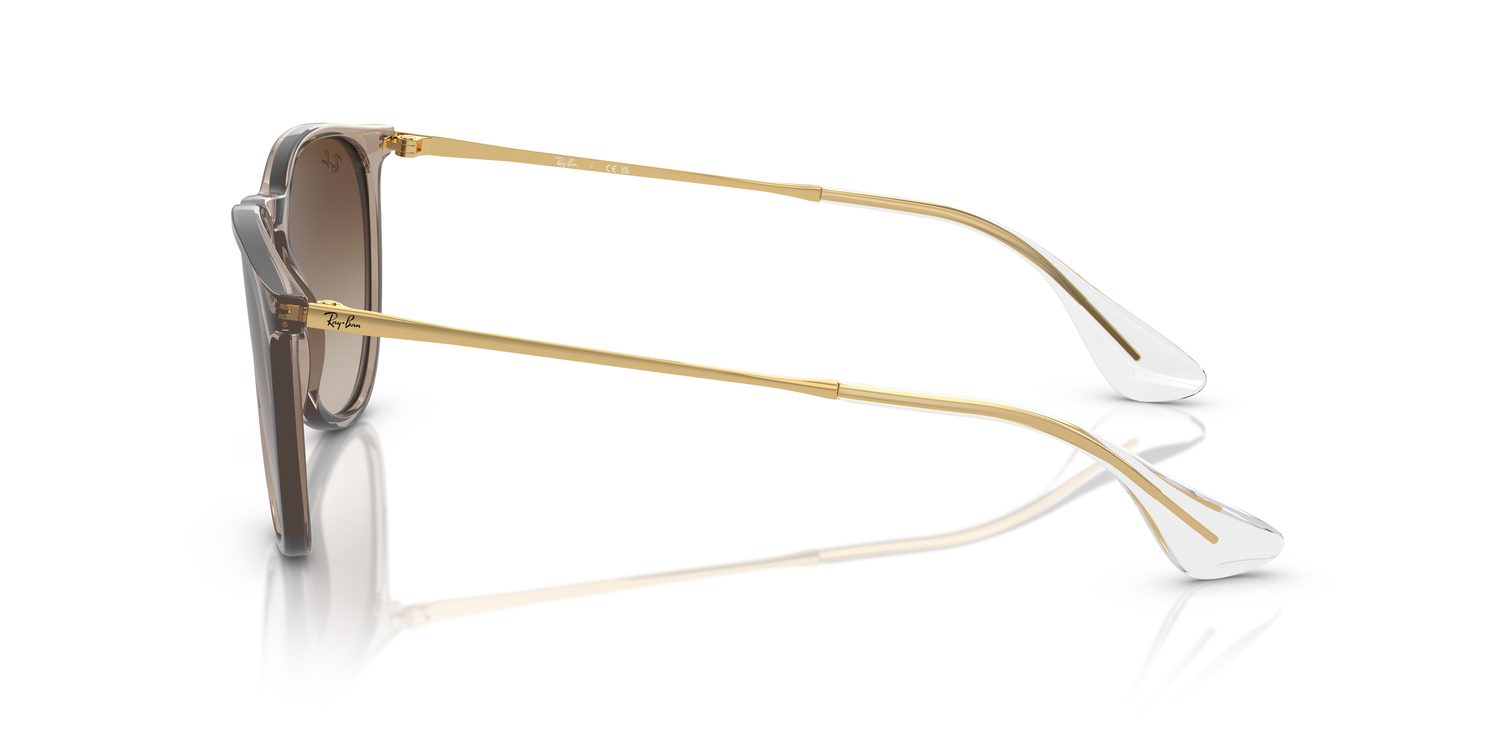 Ray-Ban | 0RB4171