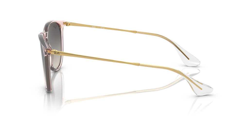 Ray-Ban | 0RB4171
