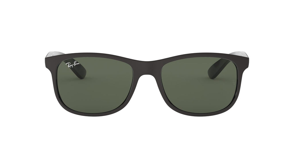 Ray-Ban | 0RB4202