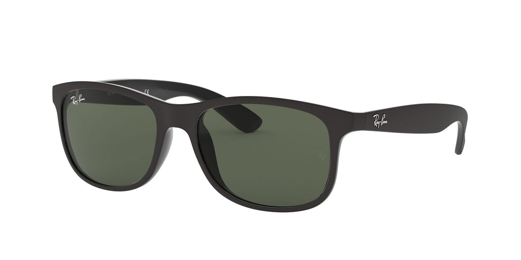 Ray-Ban | 0RB4202