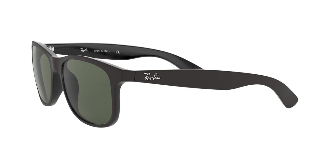 Ray-Ban | 0RB4202
