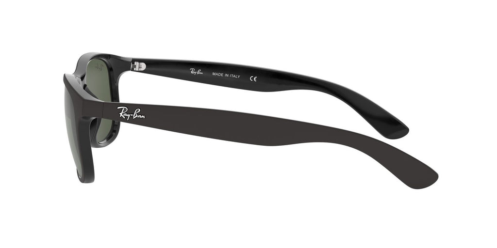 Ray-Ban | 0RB4202