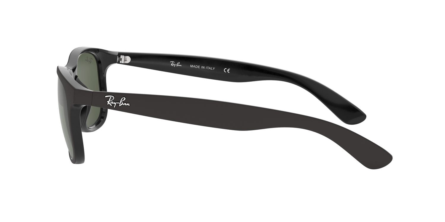 Ray-Ban | 0RB4202