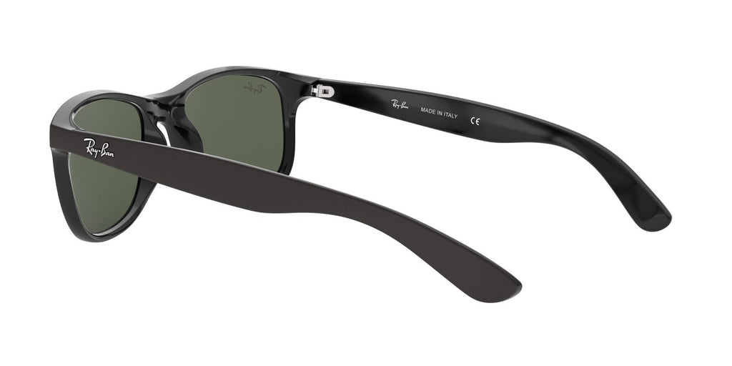 Ray-Ban | 0RB4202