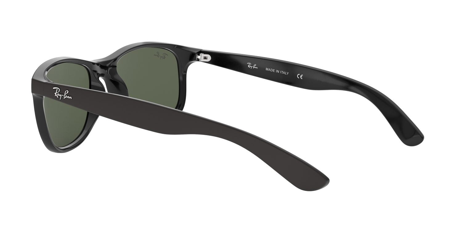 Ray-Ban | 0RB4202
