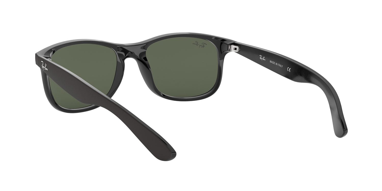Ray-Ban | 0RB4202