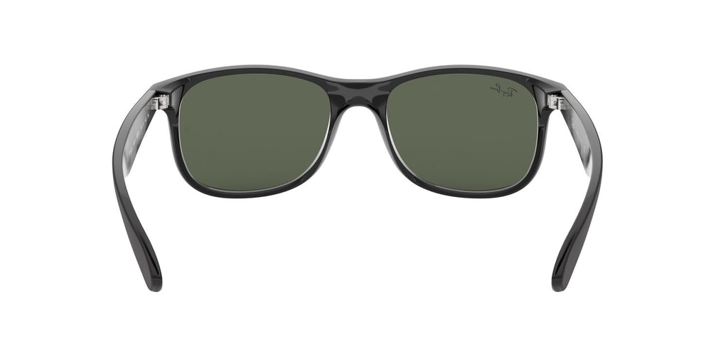Ray-Ban | 0RB4202