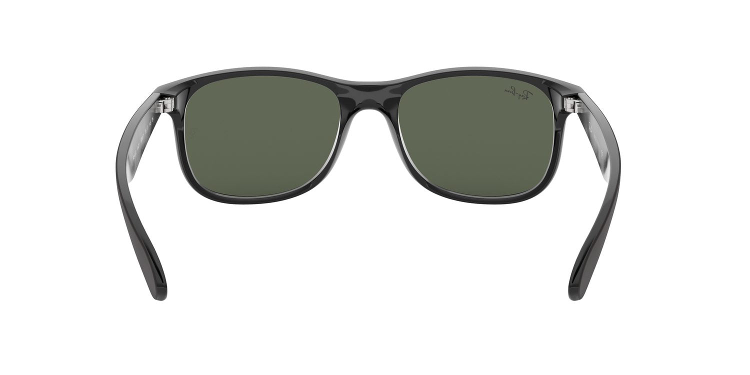 Ray-Ban | 0RB4202