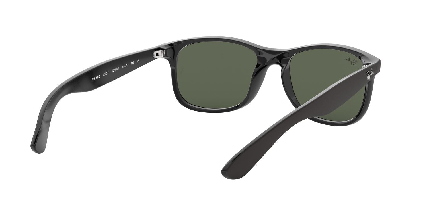 Ray-Ban | 0RB4202