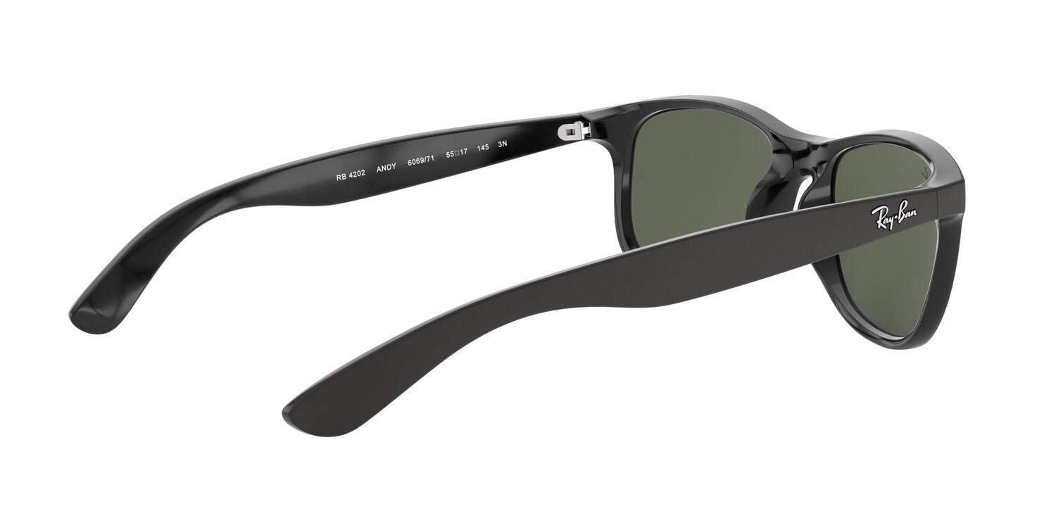 Ray-Ban | 0RB4202