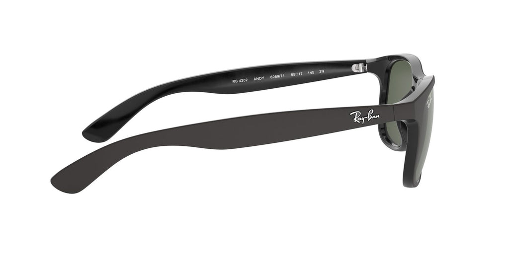 Ray-Ban | 0RB4202
