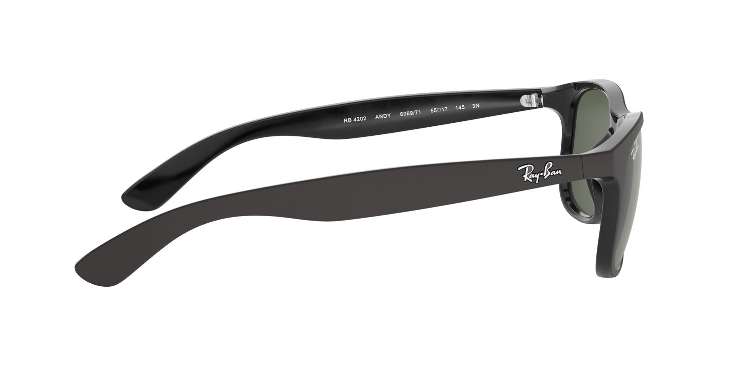 Ray-Ban | 0RB4202
