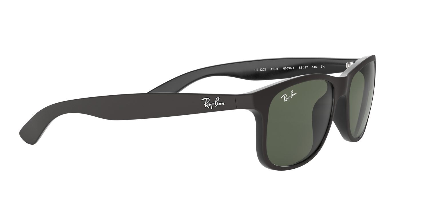 Ray-Ban | 0RB4202