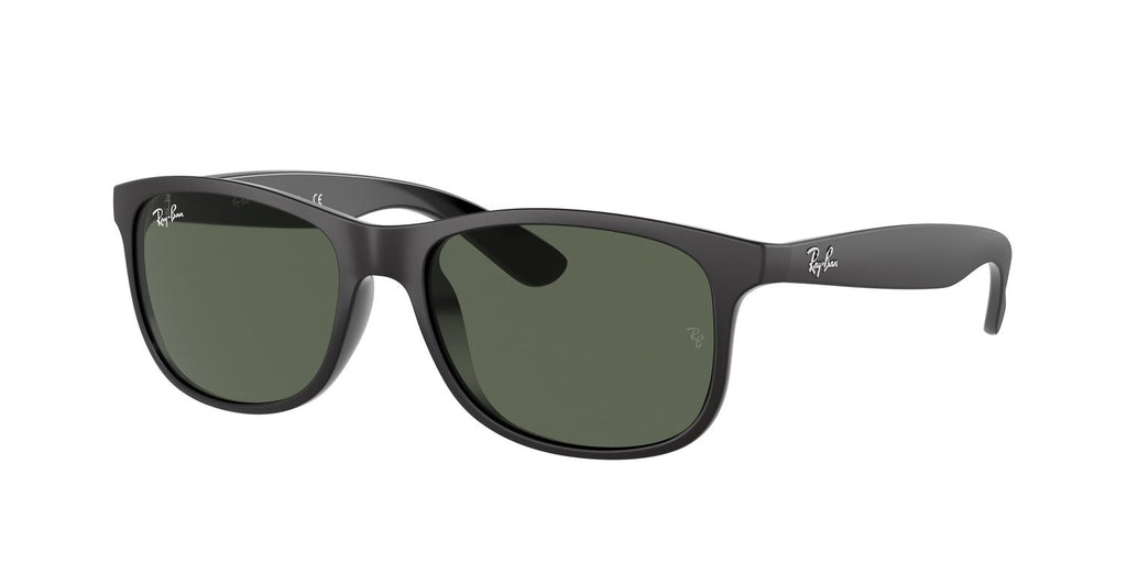 Ray-Ban | 0RB4202