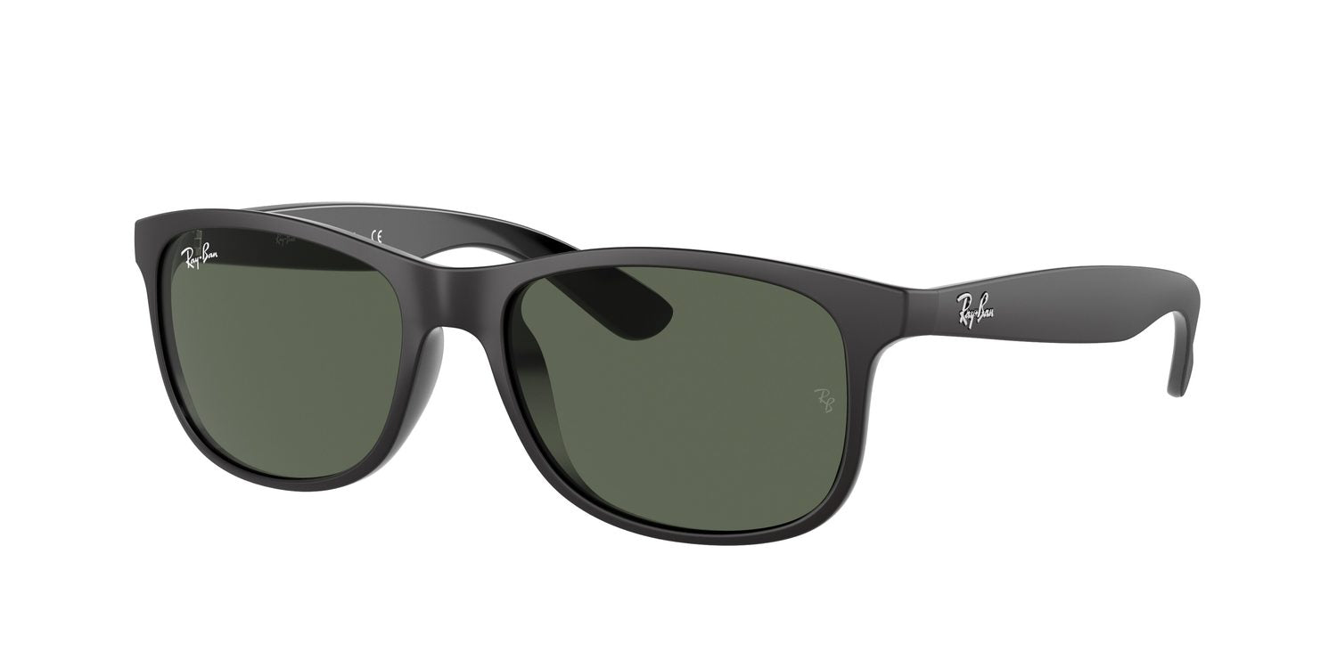 Ray-Ban | 0RB4202