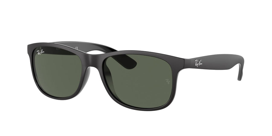 Ray-Ban | 0RB4202