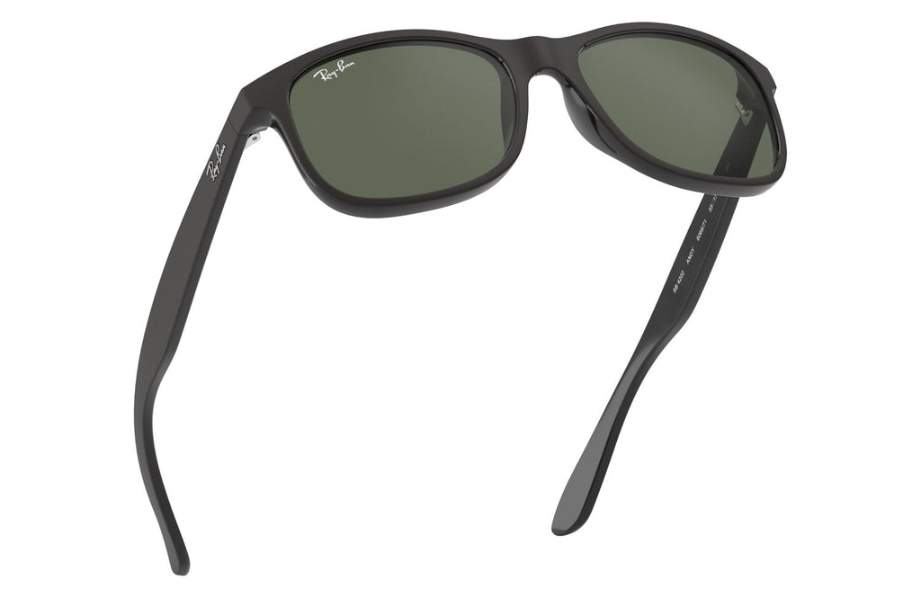Ray-Ban | 0RB4202
