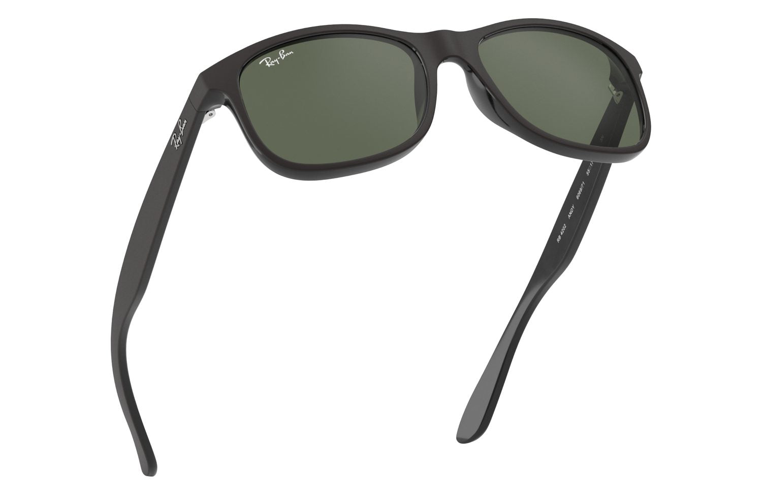 Ray-Ban | 0RB4202