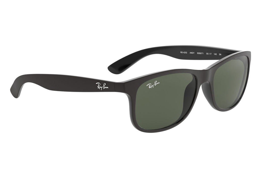 Ray-Ban | 0RB4202