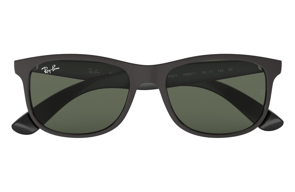 Ray-Ban | 0RB4202