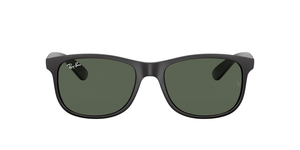 Ray-Ban | 0RB4202