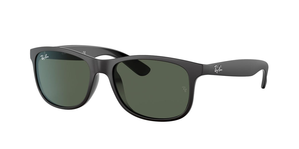 Ray-Ban | 0RB4202