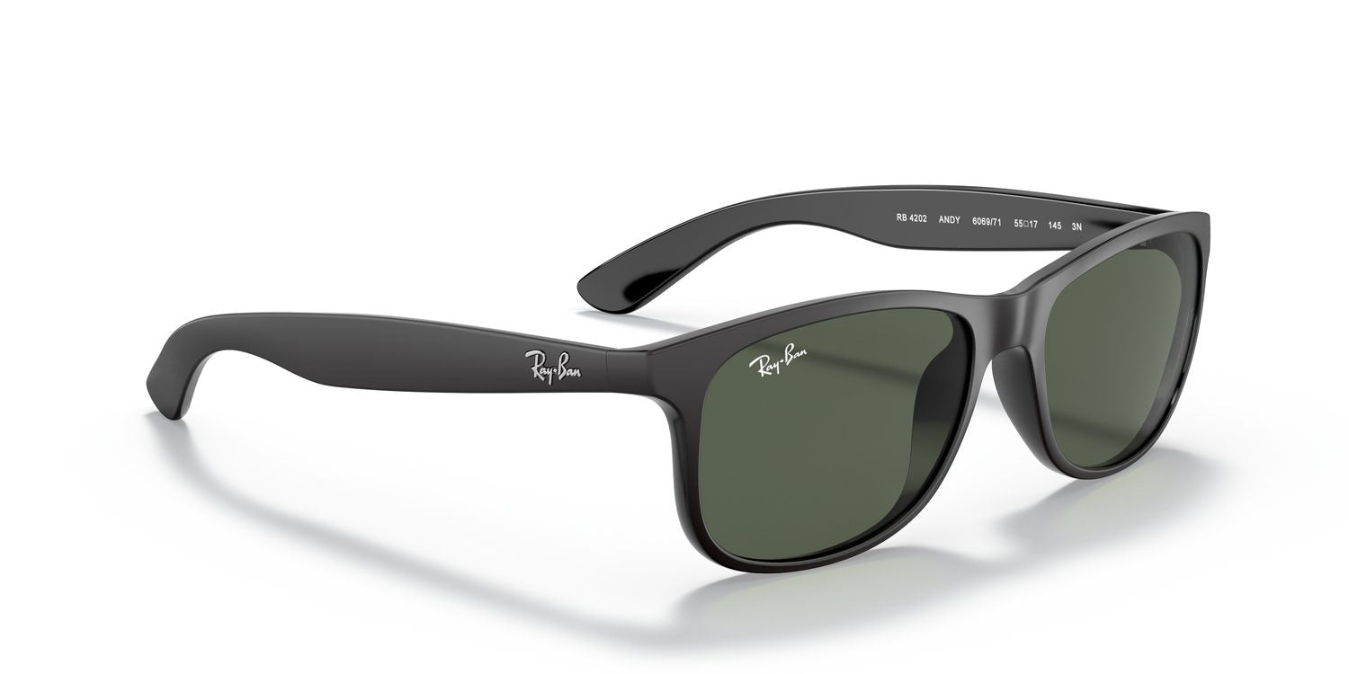 Ray-Ban | 0RB4202