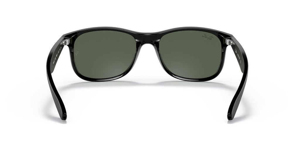 Ray-Ban | 0RB4202