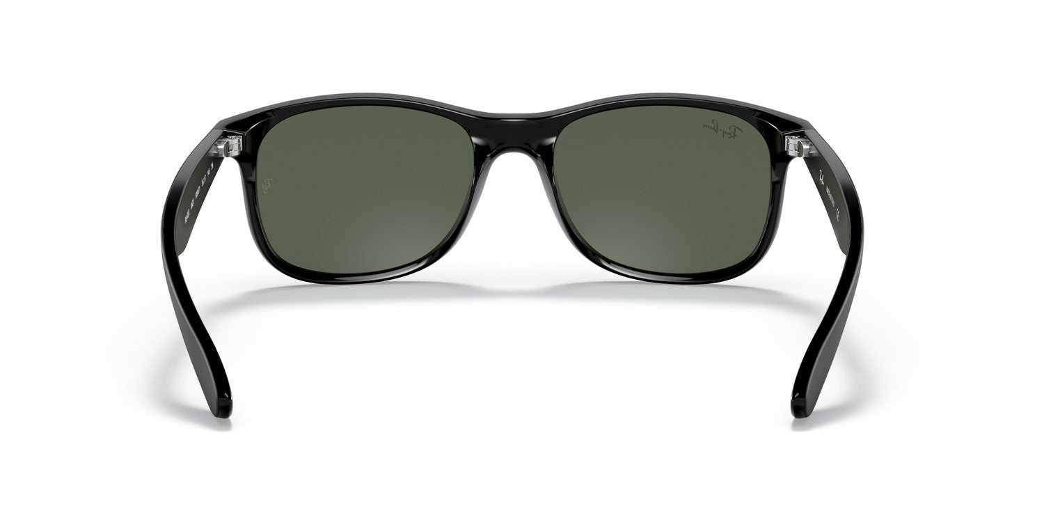 Ray-Ban | 0RB4202