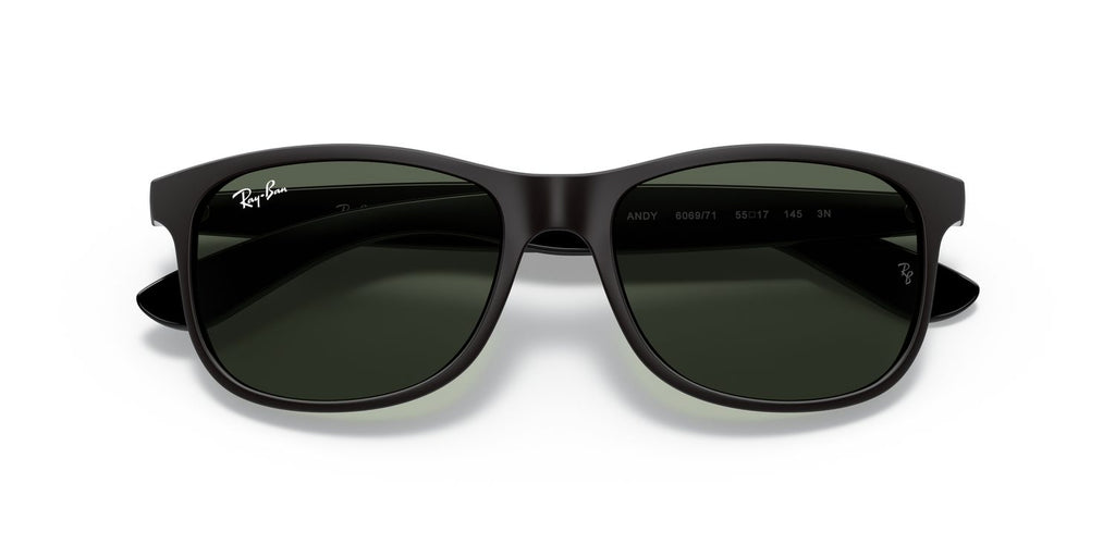 Ray-Ban | 0RB4202