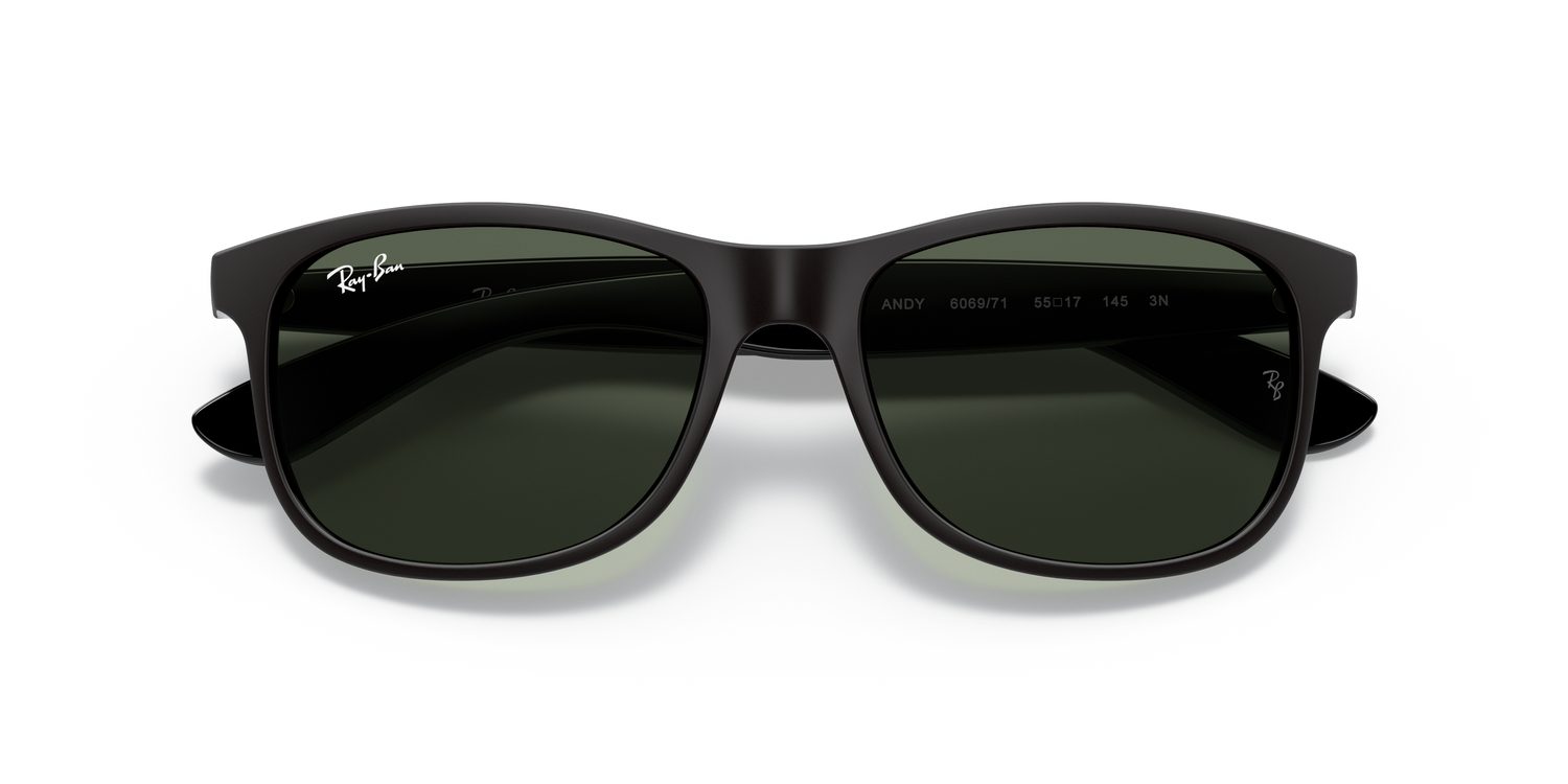 Ray-Ban | 0RB4202