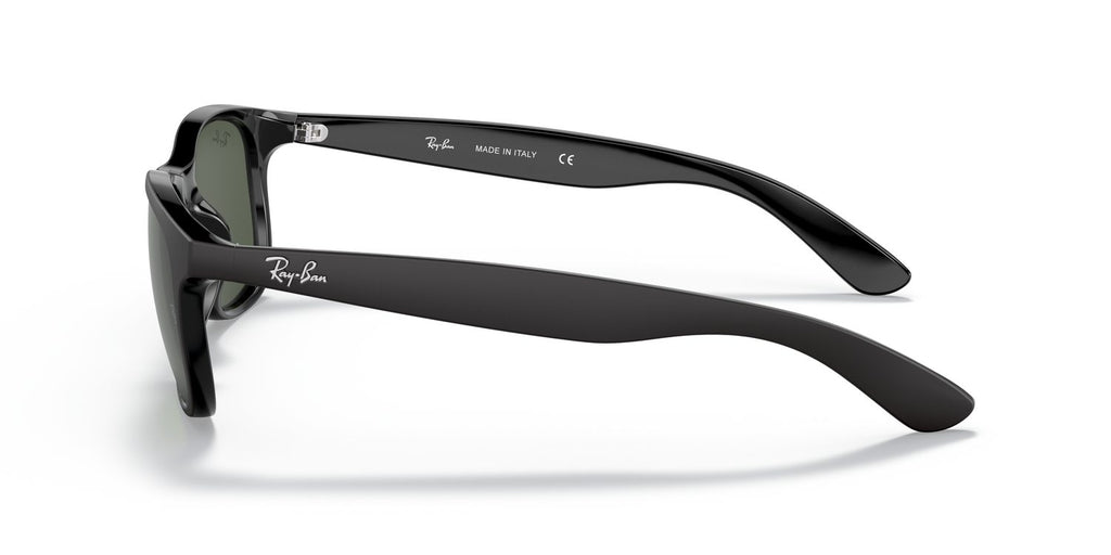 Ray-Ban | 0RB4202