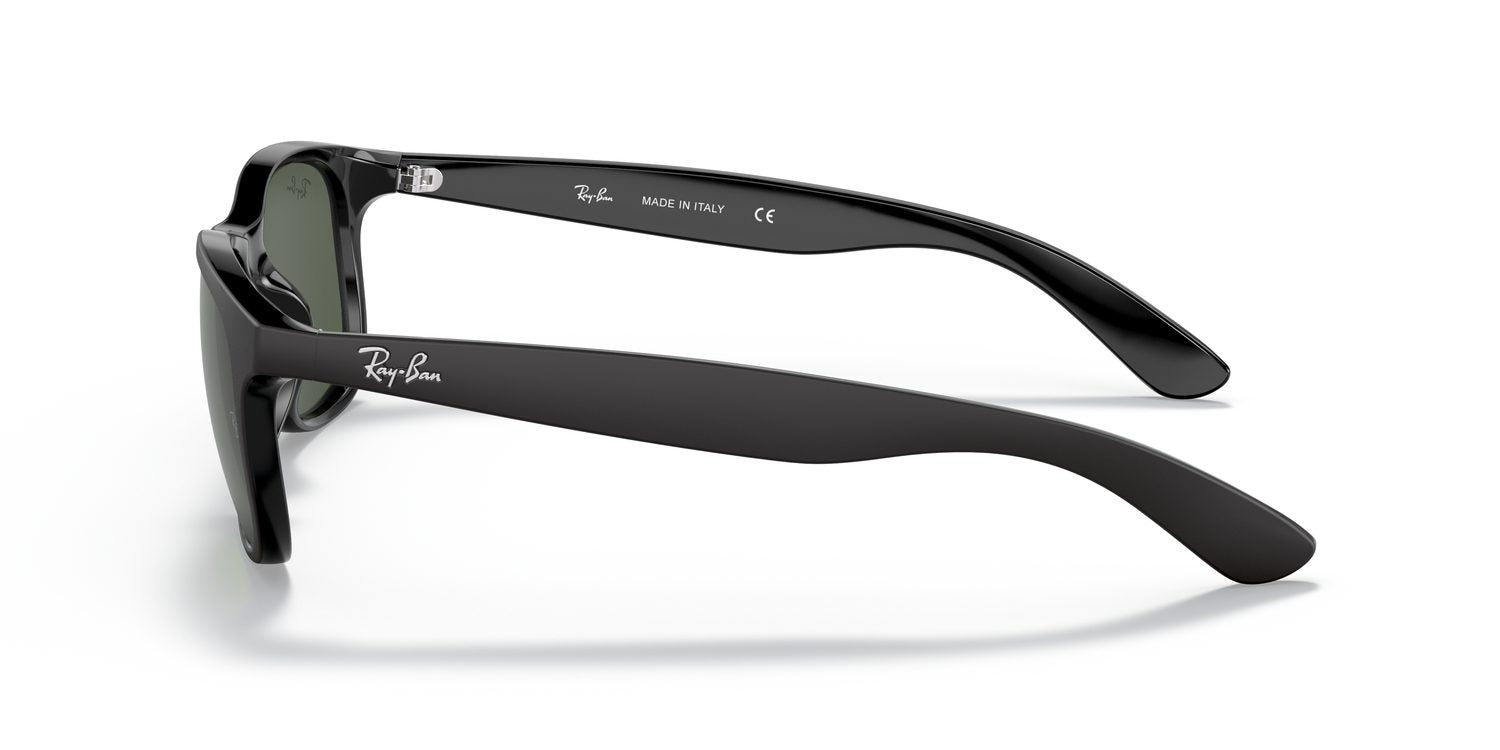 Ray-Ban | 0RB4202