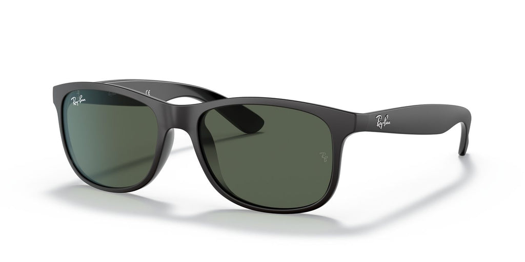 Ray-Ban | 0RB4202