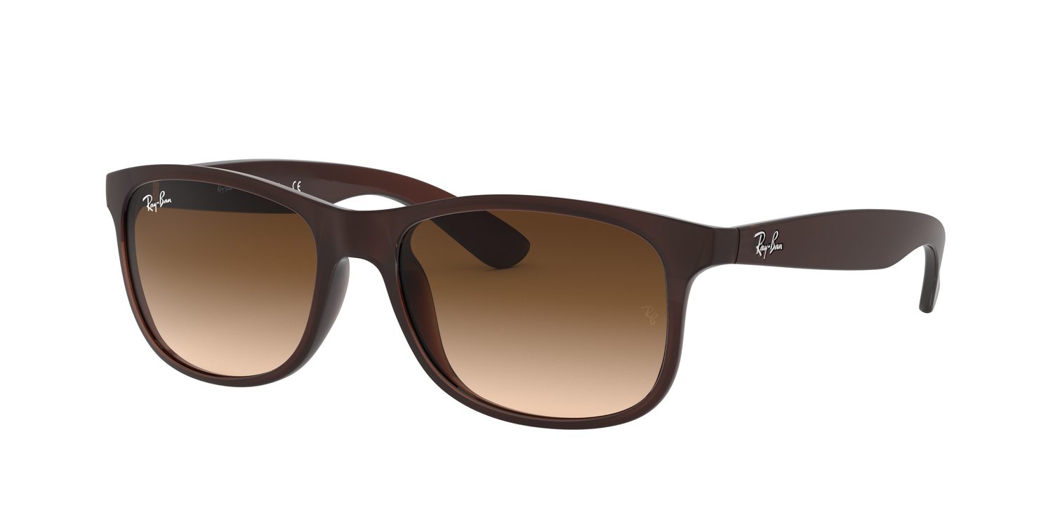 Ray-Ban | 0RB4202
