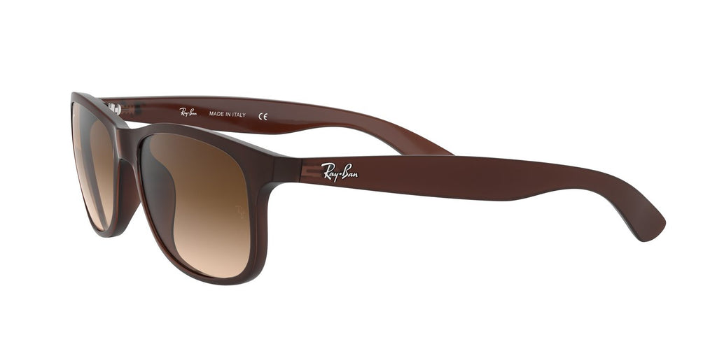 Ray-Ban | 0RB4202