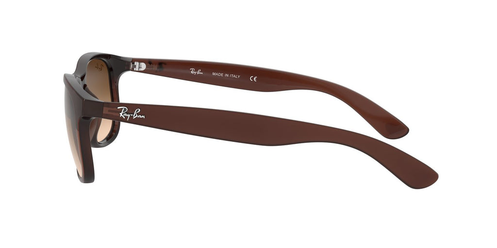 Ray-Ban | 0RB4202